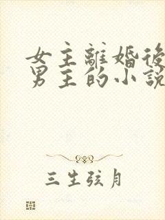 女主离婚后遇到男主的小说封面