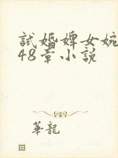 试婚婢女婉娘148章小说