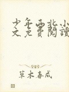 少年西北小说全文免费阅读无弹窗