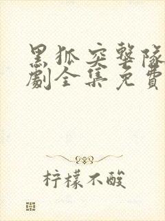 黑狐突击队电视剧全集免费