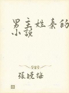 男主姓秦的现代小说