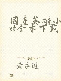 国产英雄小说txt全本下载封面