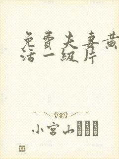 免费夫妻黄色生活一级片