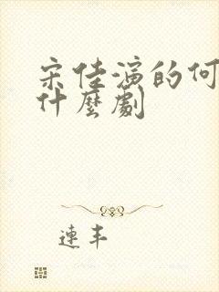 宋佳演的何爽是什么剧