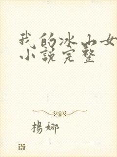 我的冰山女总裁小说完整封面