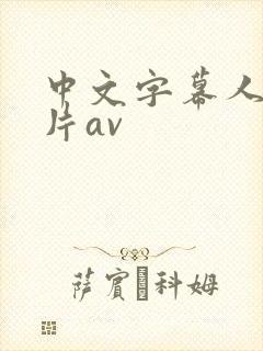中文字幕人妻爱片av