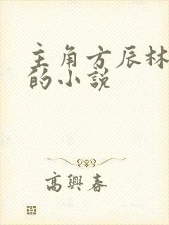 主角方辰林雪妍的小说