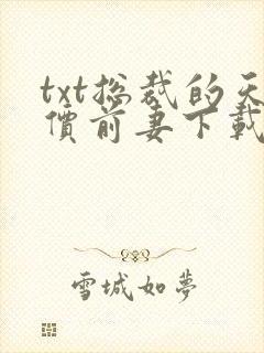 txt总裁的天价前妻下载