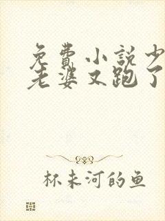 免费小说少帅你老婆又跑了