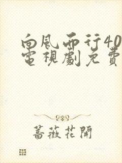 向风而行40集电视剧免费看全集