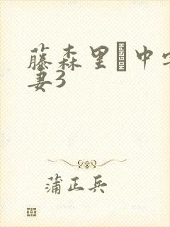 藤森里穂中字人妻3封面