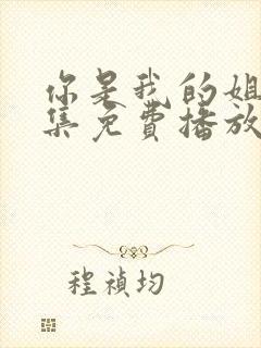 你是我的姐妹全集免费播放电视剧封面