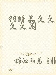 99精品久久久久久国