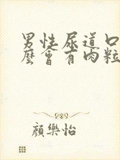 男性尿道口为什么会有肉粒