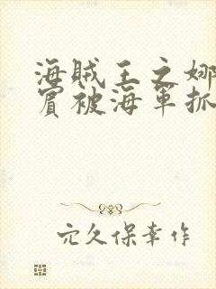 海贼王之娜美罗宾被海军抓住小说