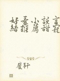 好看小说言情完结推荐甜宠文