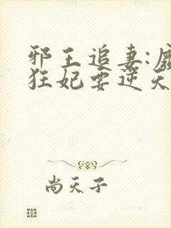 邪王追妻:废材狂妃要逆天