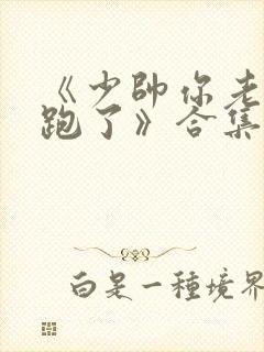 《少帅你老婆又跑了》合集