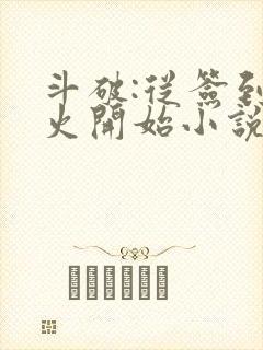 斗破:从签到异火开始小说 小说