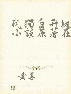 我独自升级诸神小说原著在线阅读