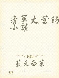 清军大营的女犯小说封面