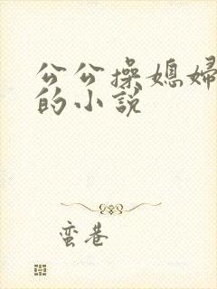 公公操媳妇逼逼的小说封面