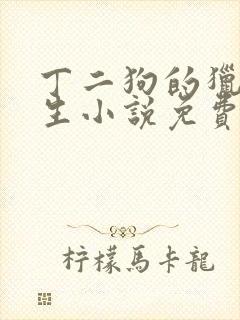 丁二狗的猎艳人生小说免费全文下载