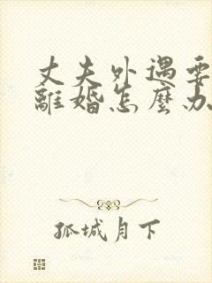 丈夫外遇要跟我离婚怎么办封面