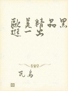 欧美精品黑人一进一出