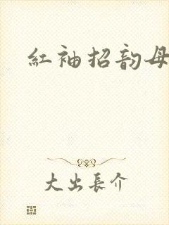 红袖招韵母攻略