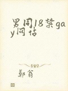 男同18禁gay网站