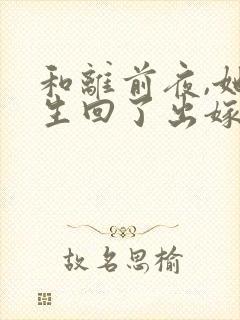 和离前夜,她重生回了出嫁