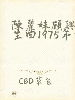 陈丽姝顾兴东重生回1975年的小说