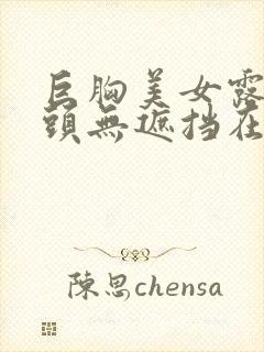 巨胸美女露双奶头无遮挡在线观看封面