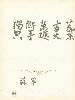 独断万古荒天帝只手遮天叶天帝