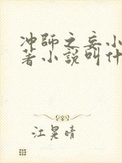 冲师之妄小说原著小说叫什么名字