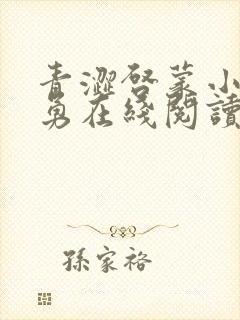 青涩启蒙小说张勇在线阅读全文