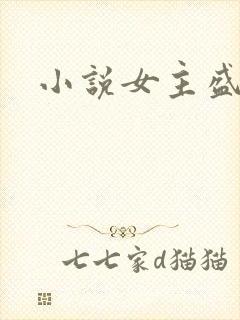 小说女主盛安宁封面