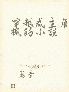 穿越成主角叫叶枫的小说