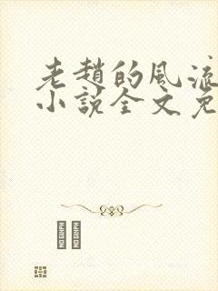 老赵的风流人生小说全文免费阅读