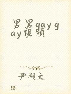 男男gay gay视频