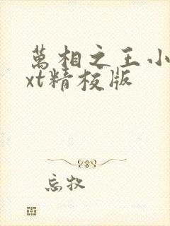 万相之王小说txt精校版