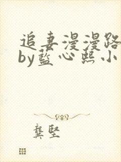 追妻漫漫路难逃by蓝心熙小说叫什么名