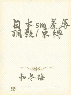 日本sm羞辱/调教/束缚