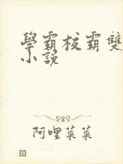 学霸校霸双男主小说