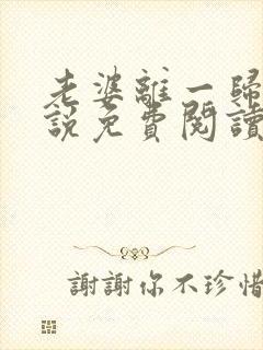 老婆离一归二小说免费阅读