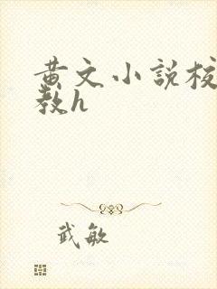 黄文小说校园调教h封面