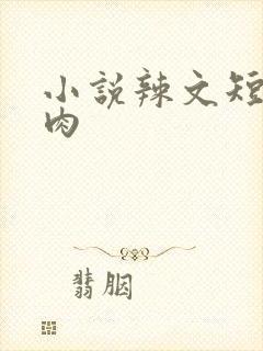 小说辣文短篇纯肉封面