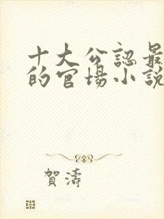 十大公认最好看的官场小说封面