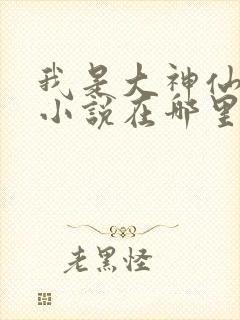 我是大神仙原著小说在哪里看